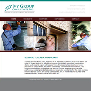 Ivy Group